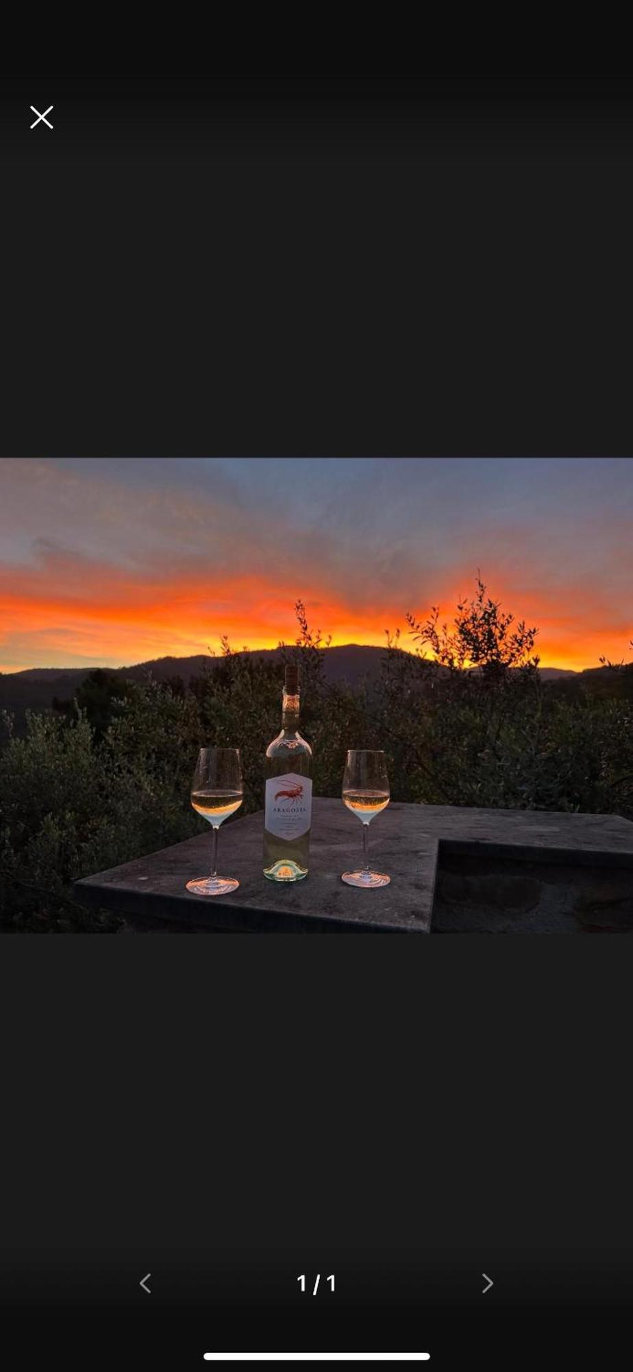 Bed and Breakfast Il Gabbiano Di Pieve Pieve Ligure Exterior foto