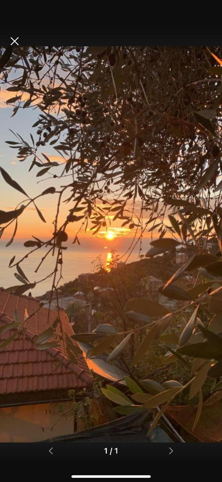 Bed and Breakfast Il Gabbiano Di Pieve Pieve Ligure Exterior foto